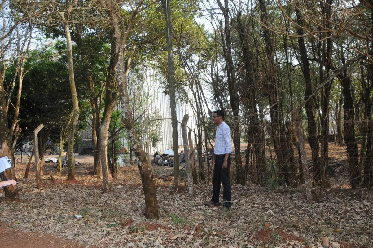 Imagem ilustrativa da imagem Após inspeção, Câmara deverá abrir debate público sobre venda de terrenos