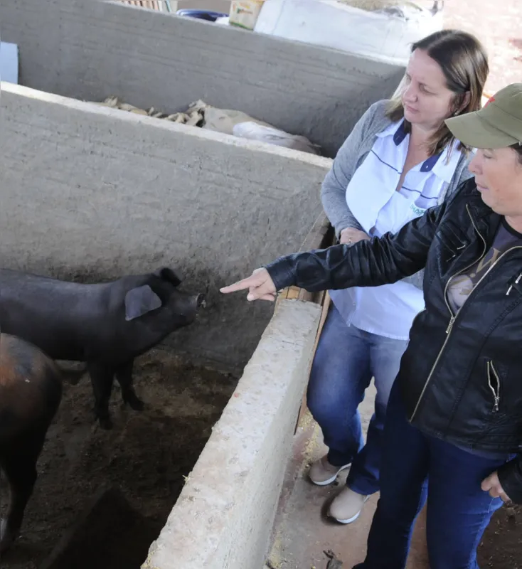 Sandra Costa Ferrer (à frente) e a técnica da Emater Genny Seisert Santos: investimento em mini granja de suínos 