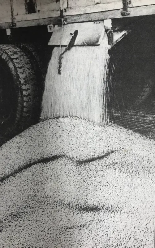 Imagem ilustrativa da imagem Batalha desigual