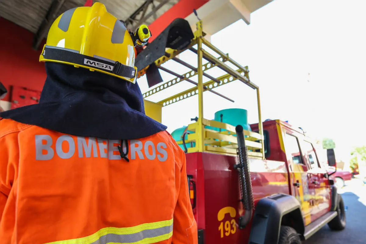 Imagem ilustrativa da imagem Bombeiros do Paraná vão combater queimadas na região Amazônica