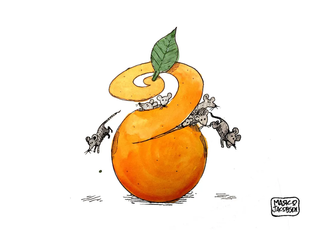 Imagem ilustrativa da imagem Charge 07/10/2019