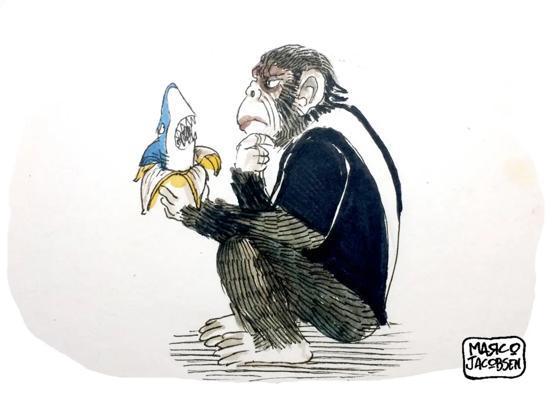 Imagem ilustrativa da imagem Charge 08/10/2019