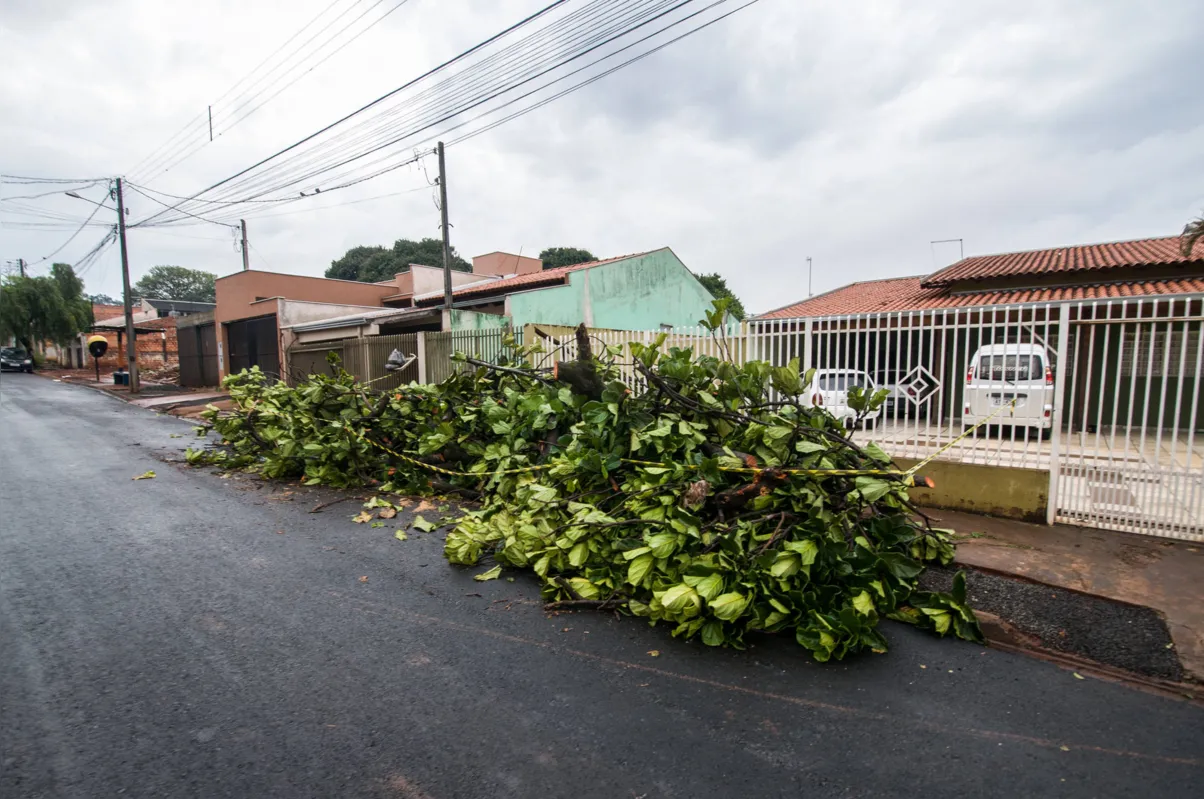 Imagem ilustrativa da imagem Chuva retorna e Londrina registra 13 mm de precipitações em dois dias