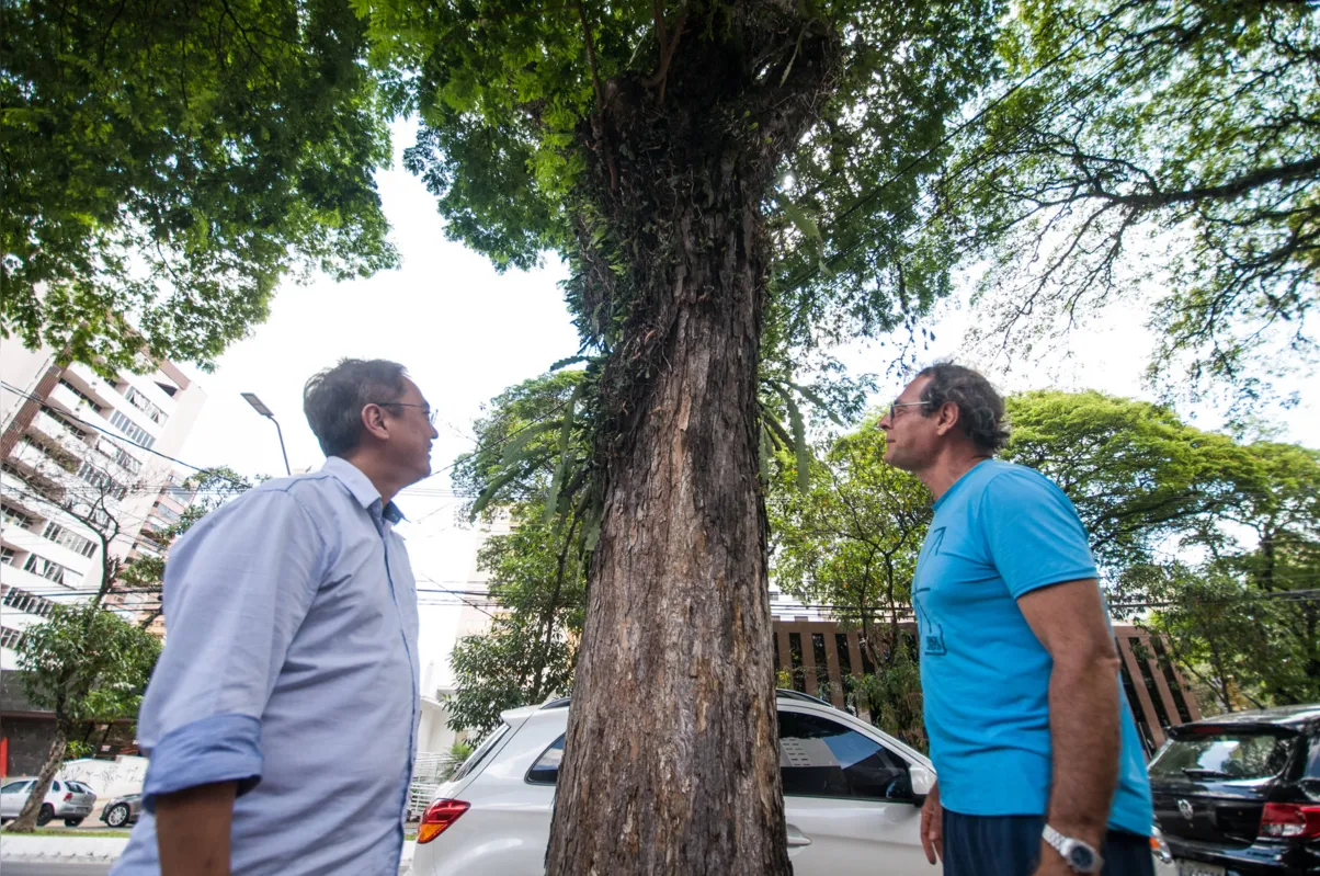 Marcelo Cassa e Efraim Rodrigues: curar ao invés de cortar