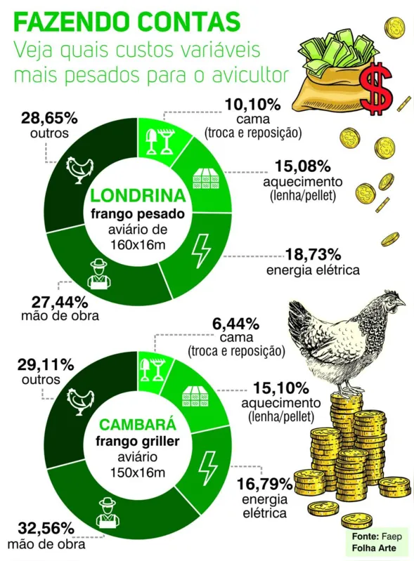 Imagem ilustrativa da imagem Comissão de Avicultura aconselha negociação com empresas