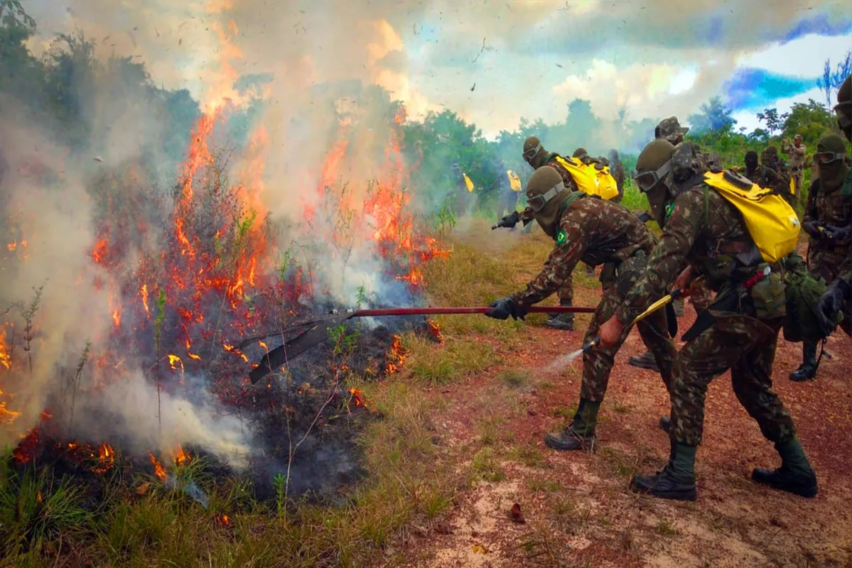 O Meio Ambiente, pressionado pelas queimadas na Amazônia, também teve corte de 30,4% em relação ao Orçamento de 2019