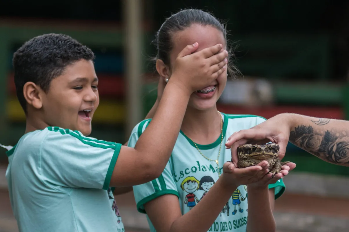 Tocar um sapo: experiência com gosto de aventura para os alunos da Escola Maria José da Silva Santos, de Assaí