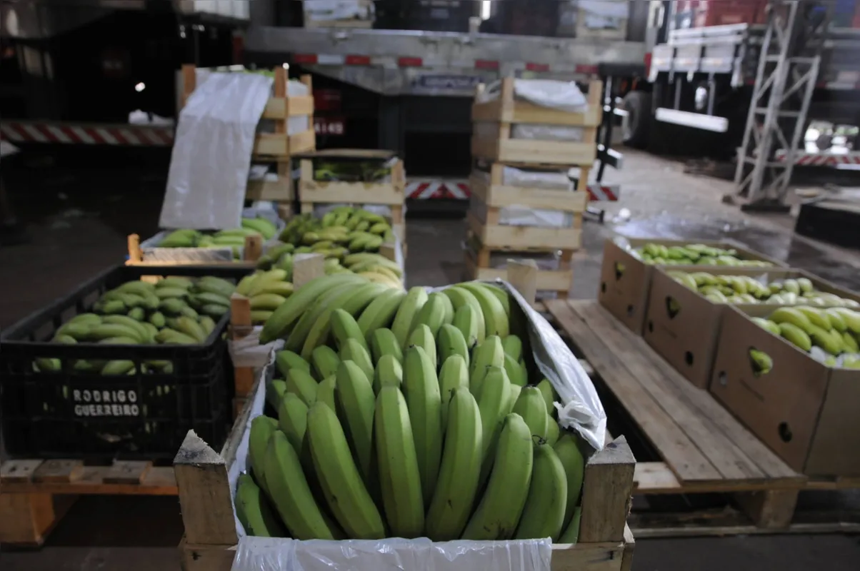 A atividade é muito rentável, principalmente para o pequeno agricultor que faz diversificação de culturas