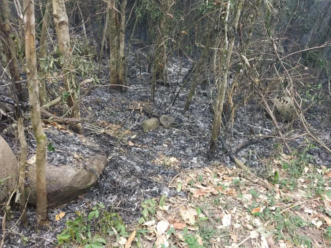 Imagem ilustrativa da imagem Fogo consumiu mais de 50 hectares no Pico Agudo