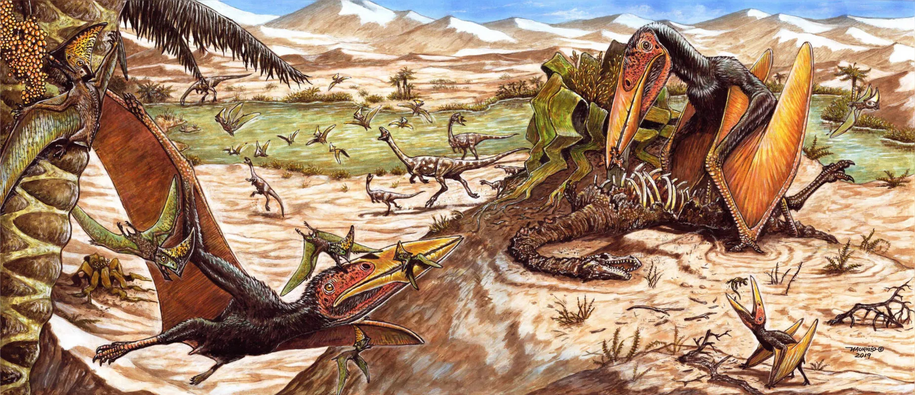 Pterossauro Keresdrakon vilsoni tinha 2,5 metros de envergadura e pesava entre 15 kg e 20 kg: hábitos carniceiros