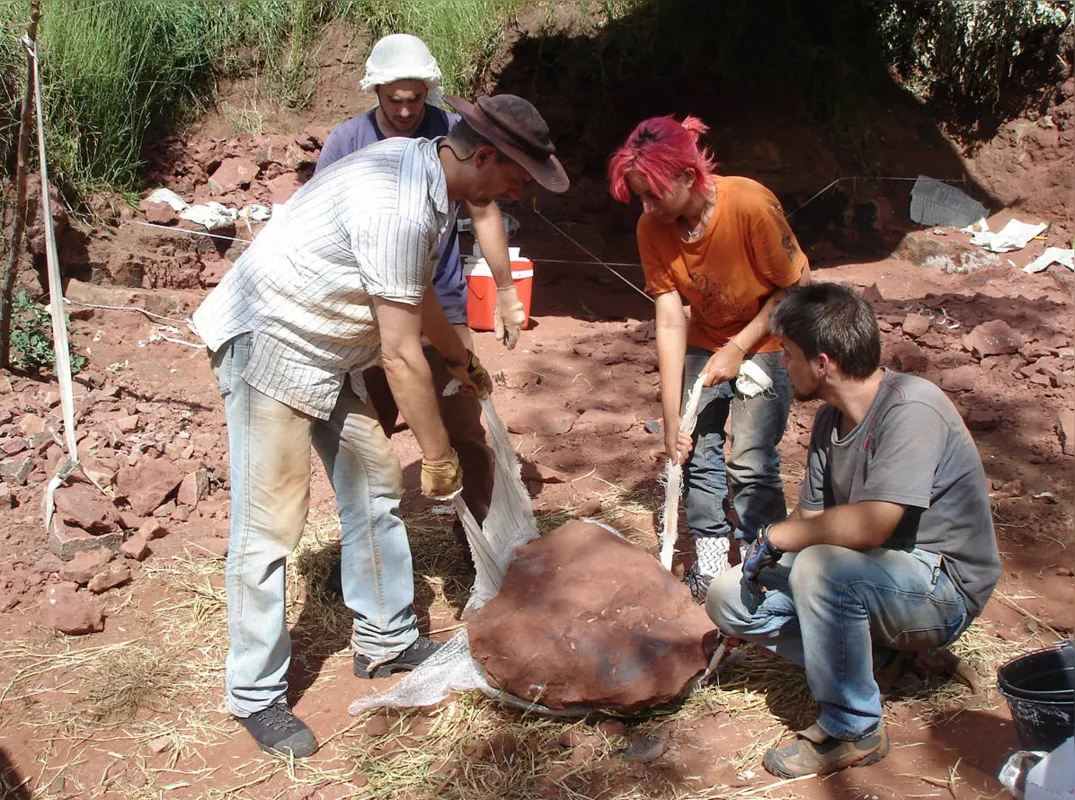 Imagem ilustrativa da imagem Fóssil de pterossauro em Cruzeiro do Oeste fez parte de ecossistema complexo