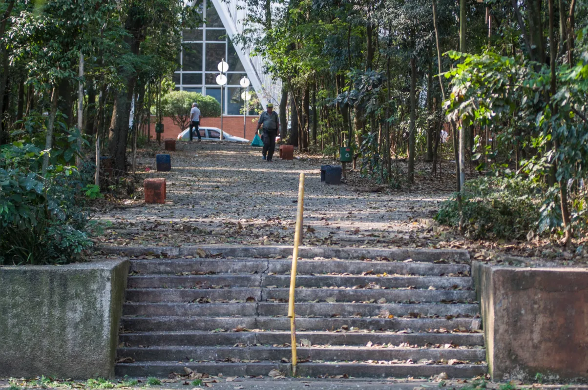 Projeto de revitalização do Bosque está sendo finalizado pelo Ippul; estimativa é que licitação seja lançada até fim do ano  