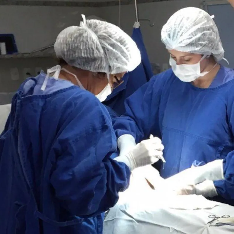 Imagem ilustrativa da imagem Médica Olivia Fernandes morre aos 68 anos em Londrina