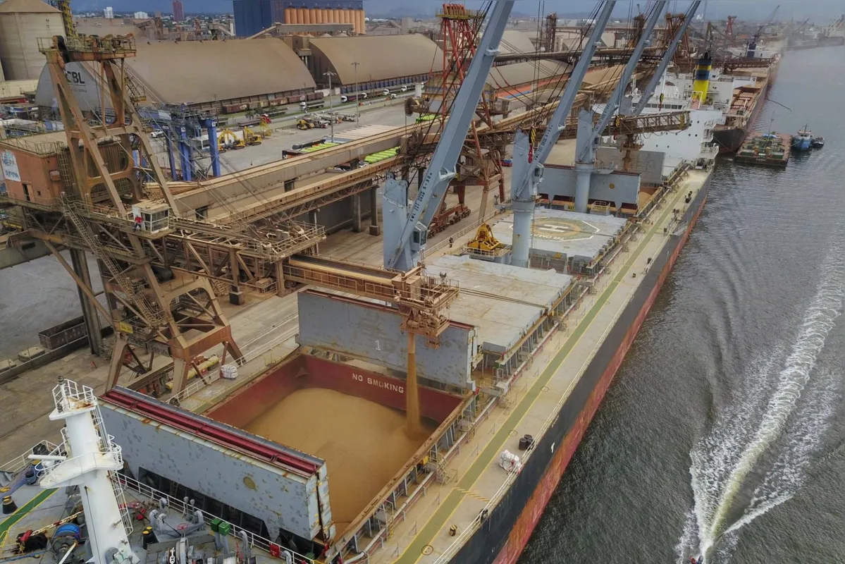 Nos portos brasileiros houve avanço na produtividade, mas a amostragem para micotoxinas ainda é uma questão a ser enfrentada pelos exportadores