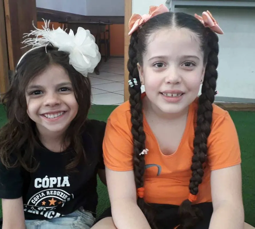  Lavinia Gaspar e Maria Fernanda Corrêa 