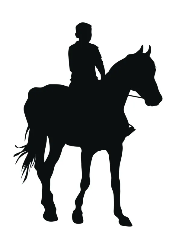 Imagem ilustrativa da imagem O menino que caiu do cavalo