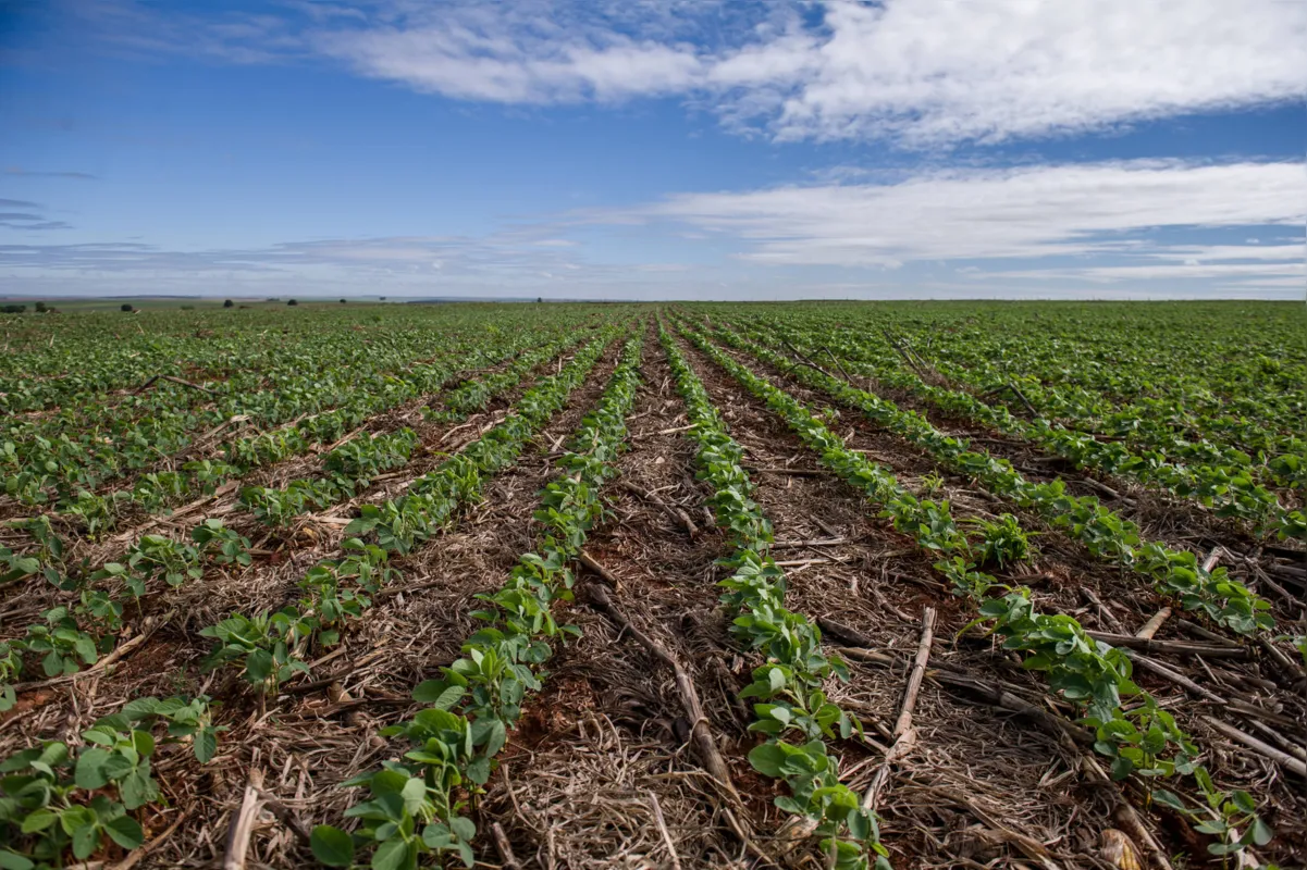 No cenário nacional, 75% dos recursos agrícolas estão concentrados nos Estados do Rio Grande do Sul, Paraná, São Paulo, Minas Gerais, Mato Grosso e Goiás 