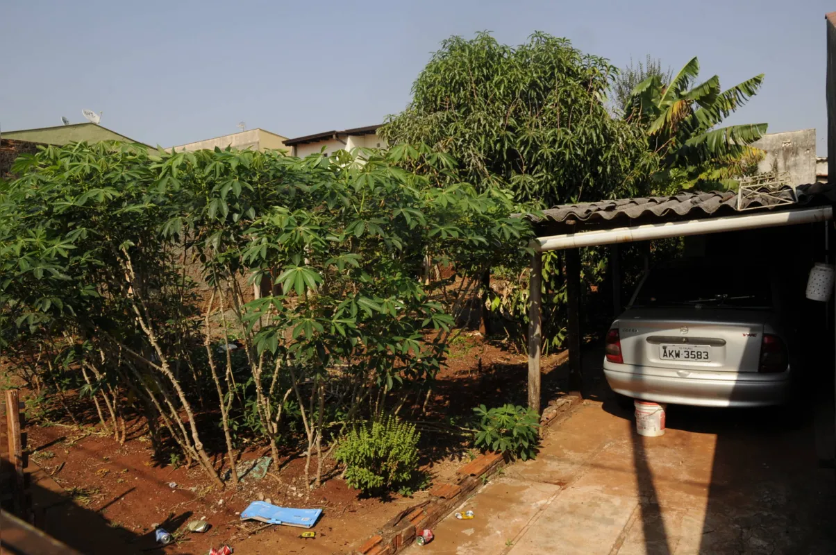 Imagem ilustrativa da imagem Parte dos terrenos que a prefeitura quer vender virou 'propriedade privada'