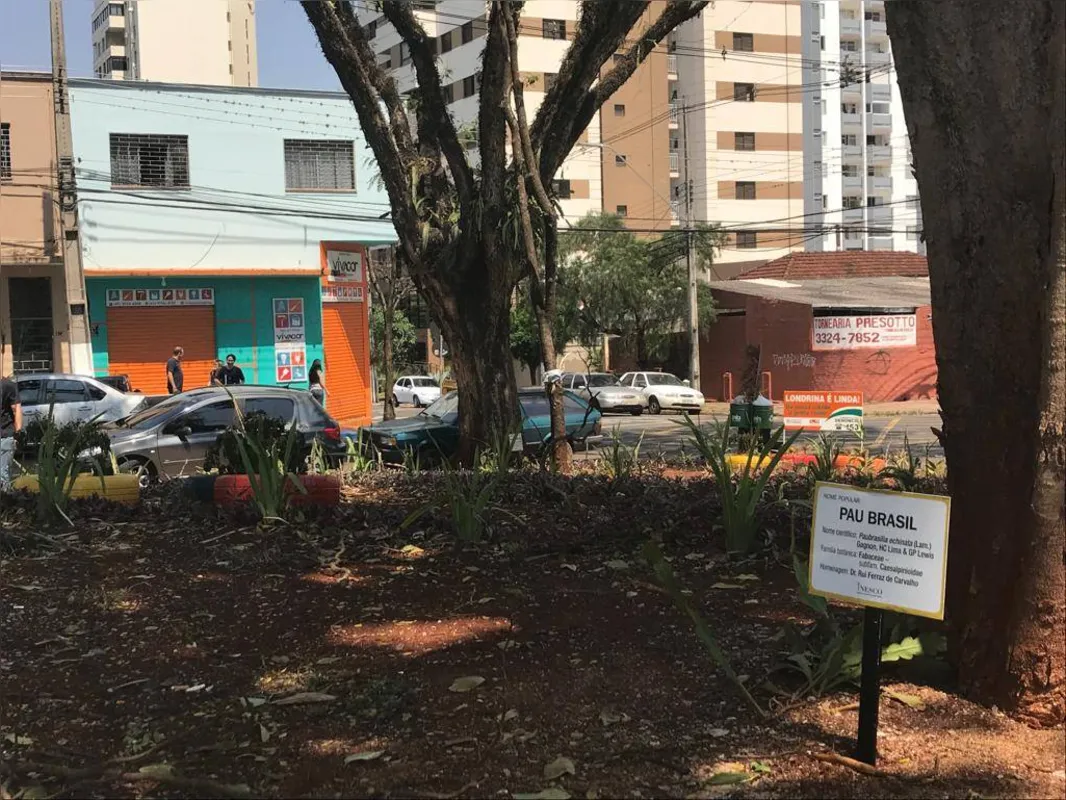 Praça foi revitalizada em seis anos