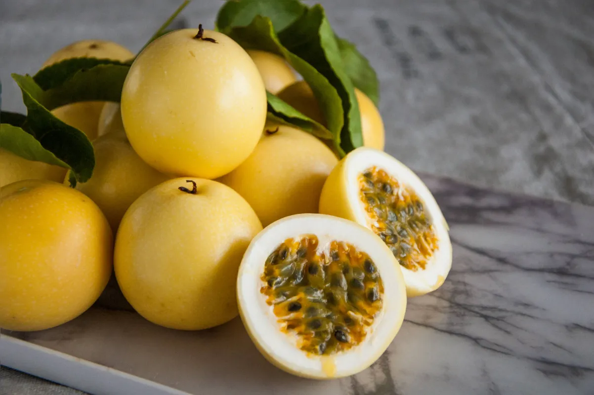 Imagem ilustrativa da imagem Processamento de frutas deve transformar dinâmica produtiva do Norte Pioneiro