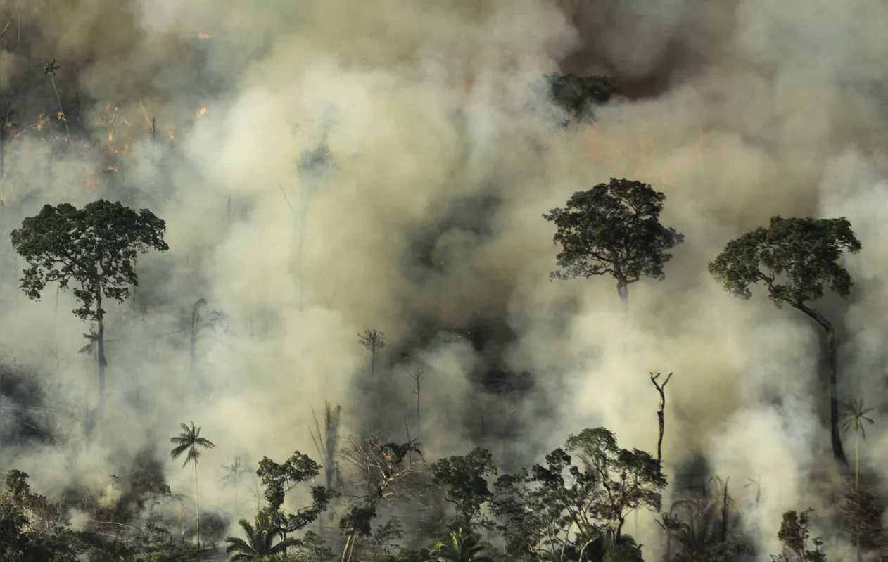 Imagem ilustrativa da imagem Queimadas na Amazônia geraram custo adicional de R$ 1,5 milhão ao SUS