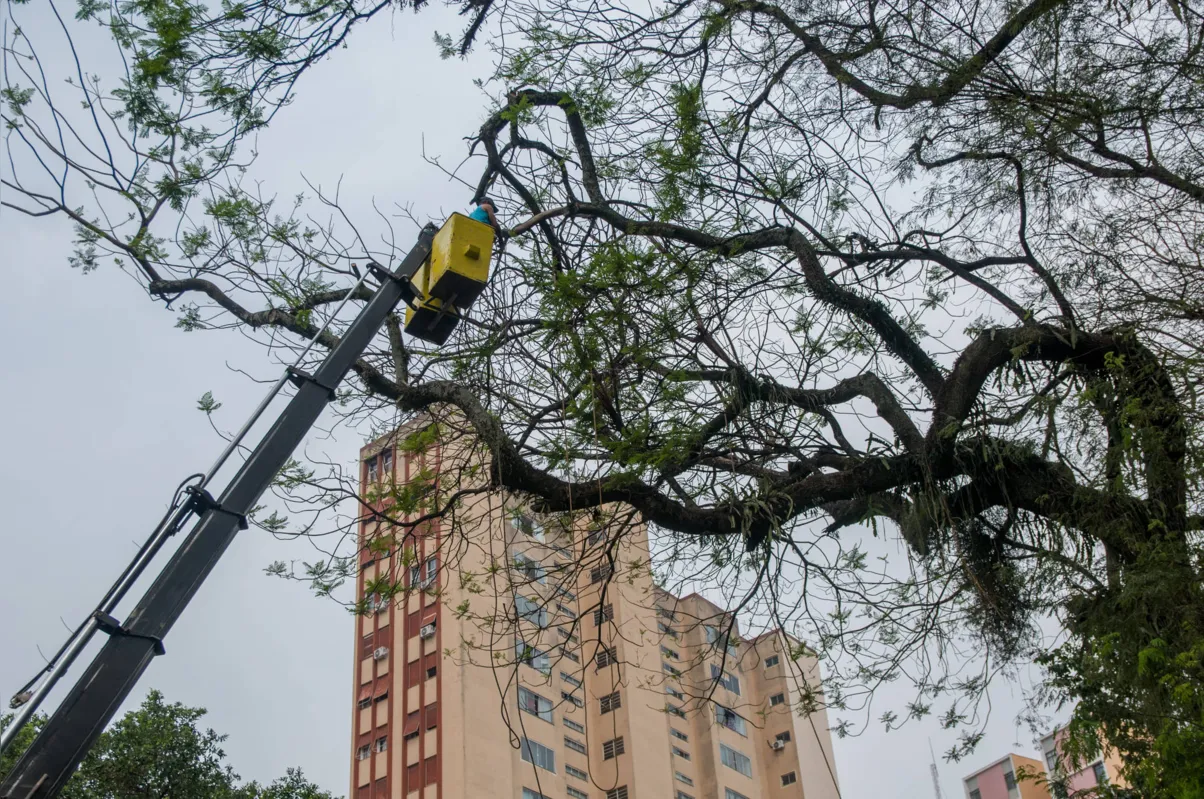 Equipe atuou em frente à Biblioteca Pública e aos Correios, além do Bosque Municipal: trabalho recorrente