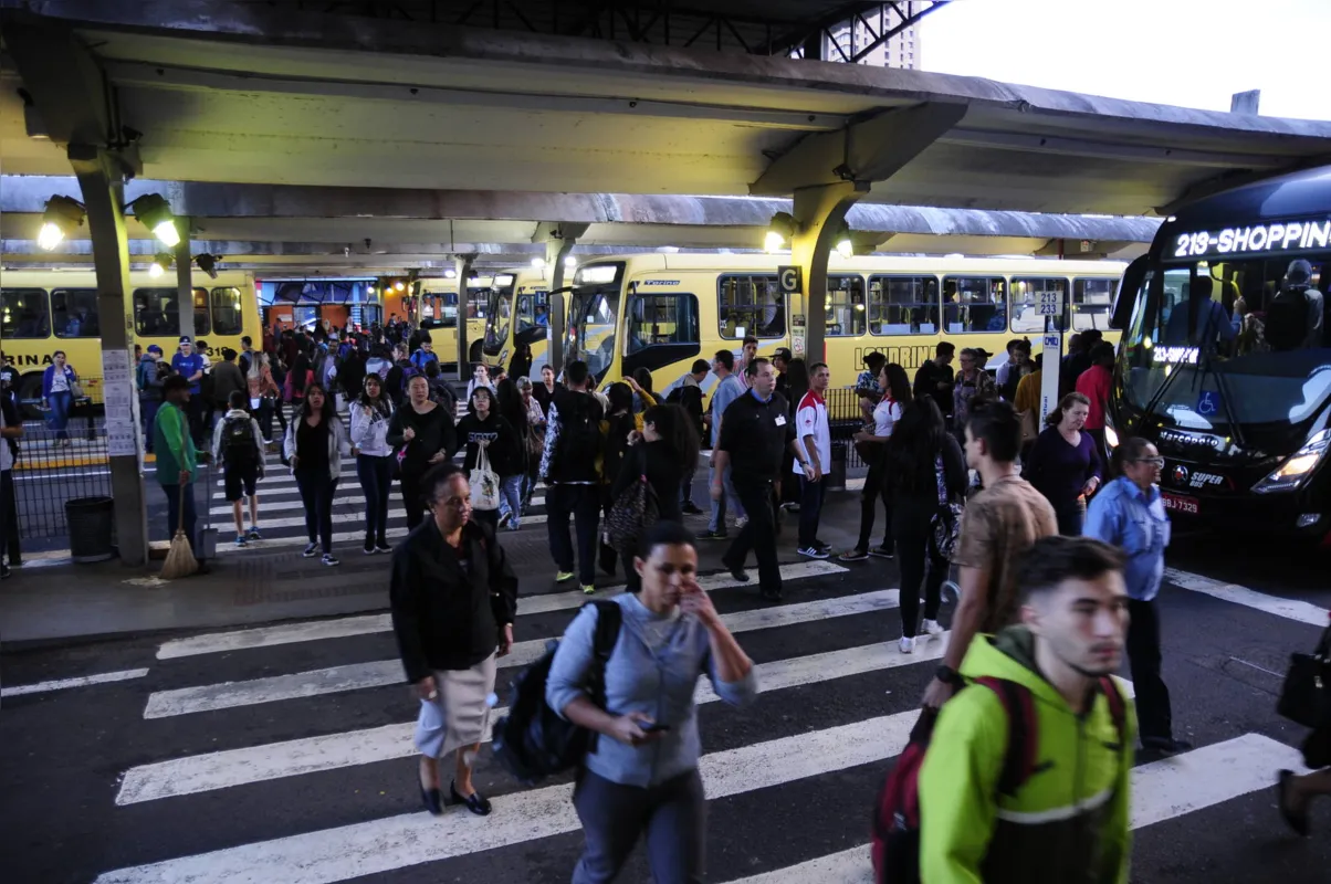 Imagem ilustrativa da imagem TCGL vence licitação de lote do transporte coletivo