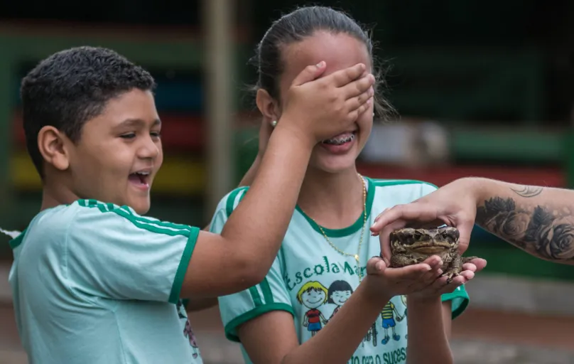 Tocar um sapo: experiência com gosto de aventura para os alunos da Escola Maria José da Silva Santos, de Assaí