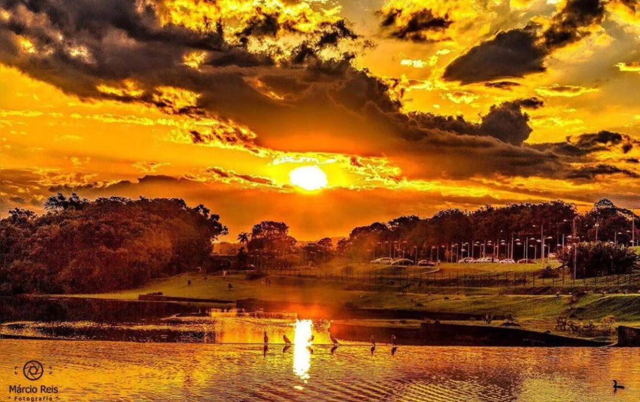 Imagem ilustrativa da imagem A CIDADE FALA - Encanto no jardim botânico