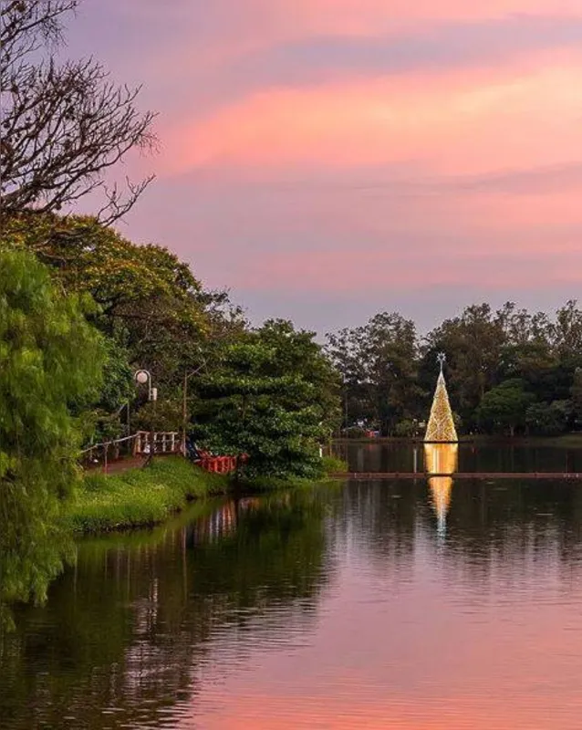Imagem ilustrativa da imagem A CIDADE FALA - O espírito natalino