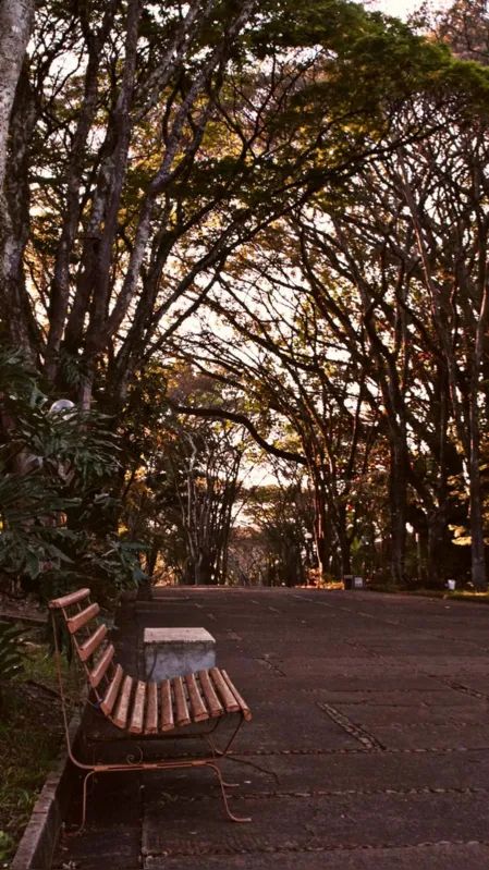 Imagem ilustrativa da imagem #A Cidade Fala