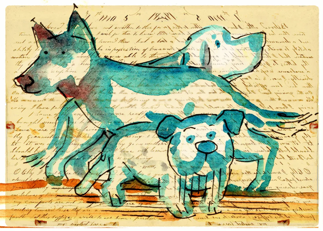 Imagem ilustrativa da imagem A Gaúcha, o Rex e o Roy