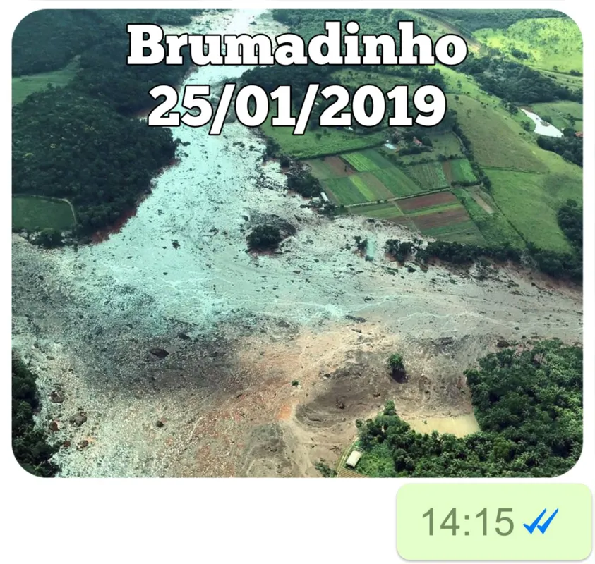 Imagem ilustrativa da imagem ANO INTENSO NA INTERNET - Assuntos, memes e personagens bombaram nas redes sociais em 2019