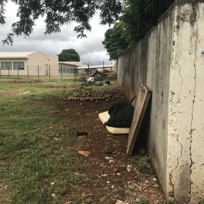 Terreno ao fundo de escola municipal, na zona leste: CMTU recolhe e lixo reaparece
