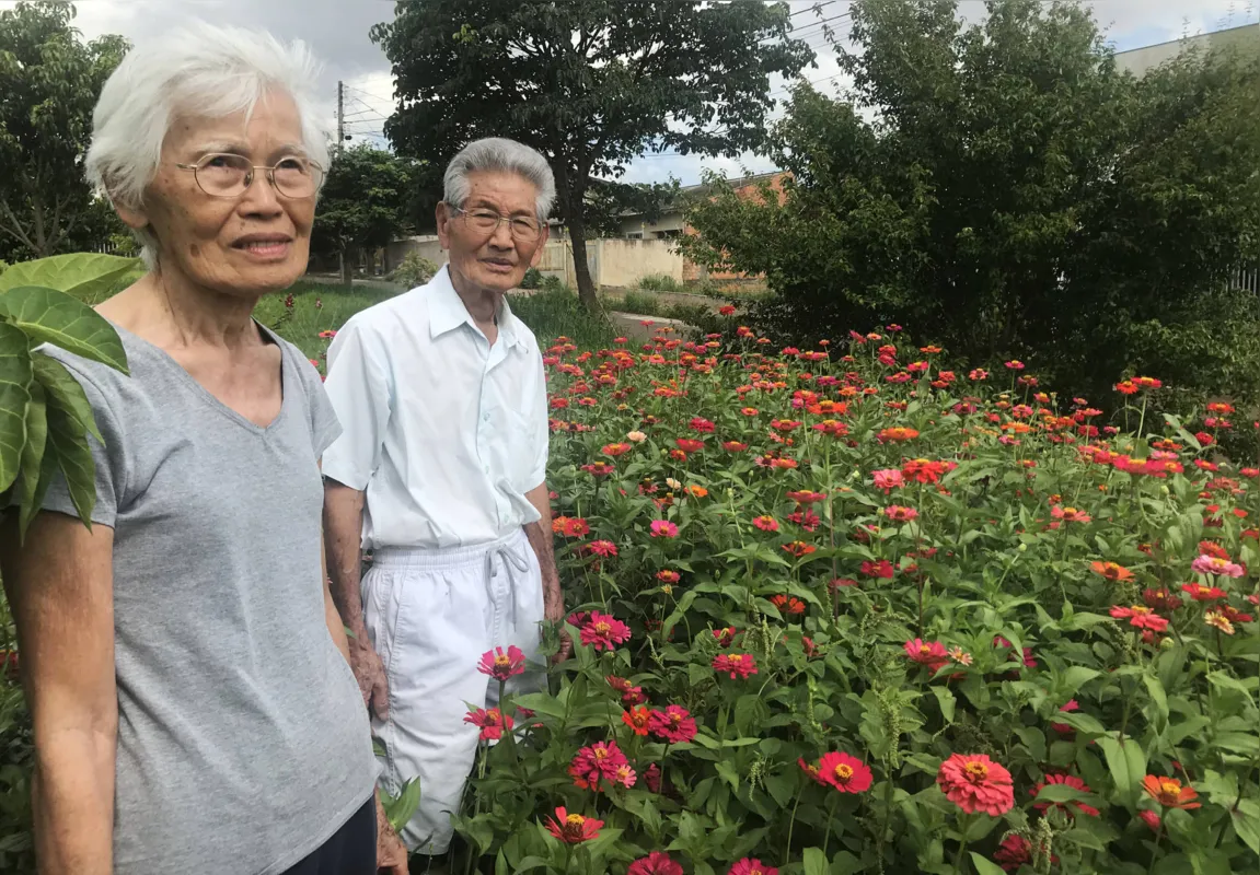 O casal Rie Itiyama e Takefumi Kumagai entre  as Palmas de Santa Rita e as zínias 
