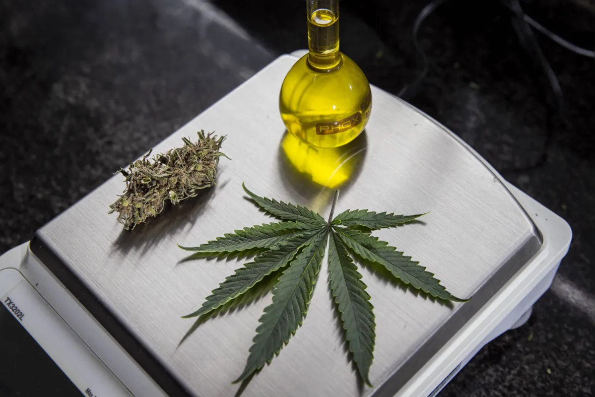 Aprovação das mudanças ocorre um mês após a agência aprovar medidas que dão aval à venda de produtos à base de Cannabis em farmácias 