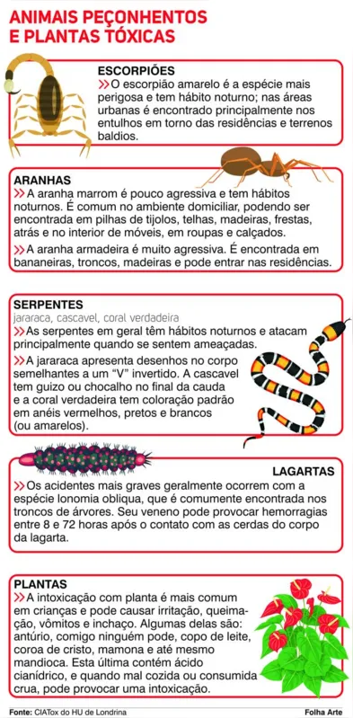 Imagem ilustrativa da imagem Casos de intoxicação triplicam no CIATox do HU de Londrina