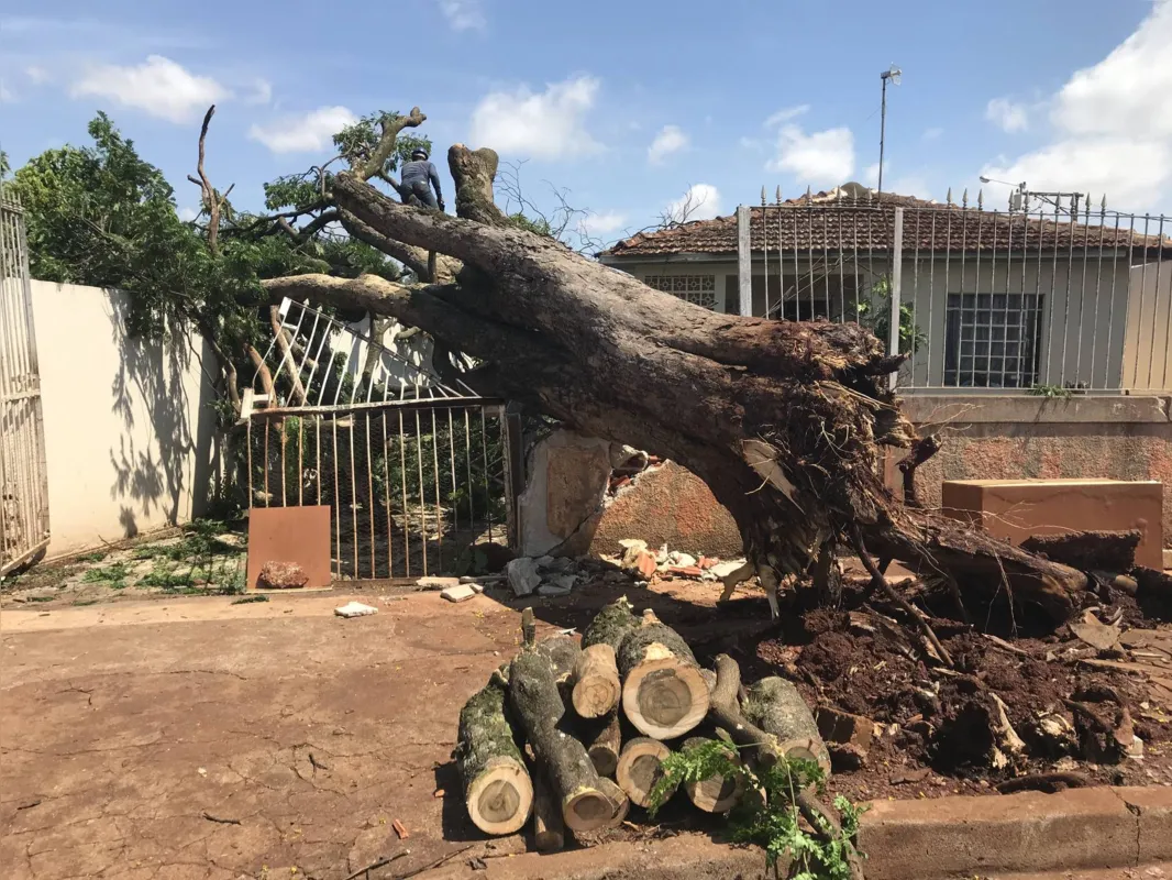 Imagem ilustrativa da imagem Chuva destelha casas e provoca quedas de árvores em Londrina