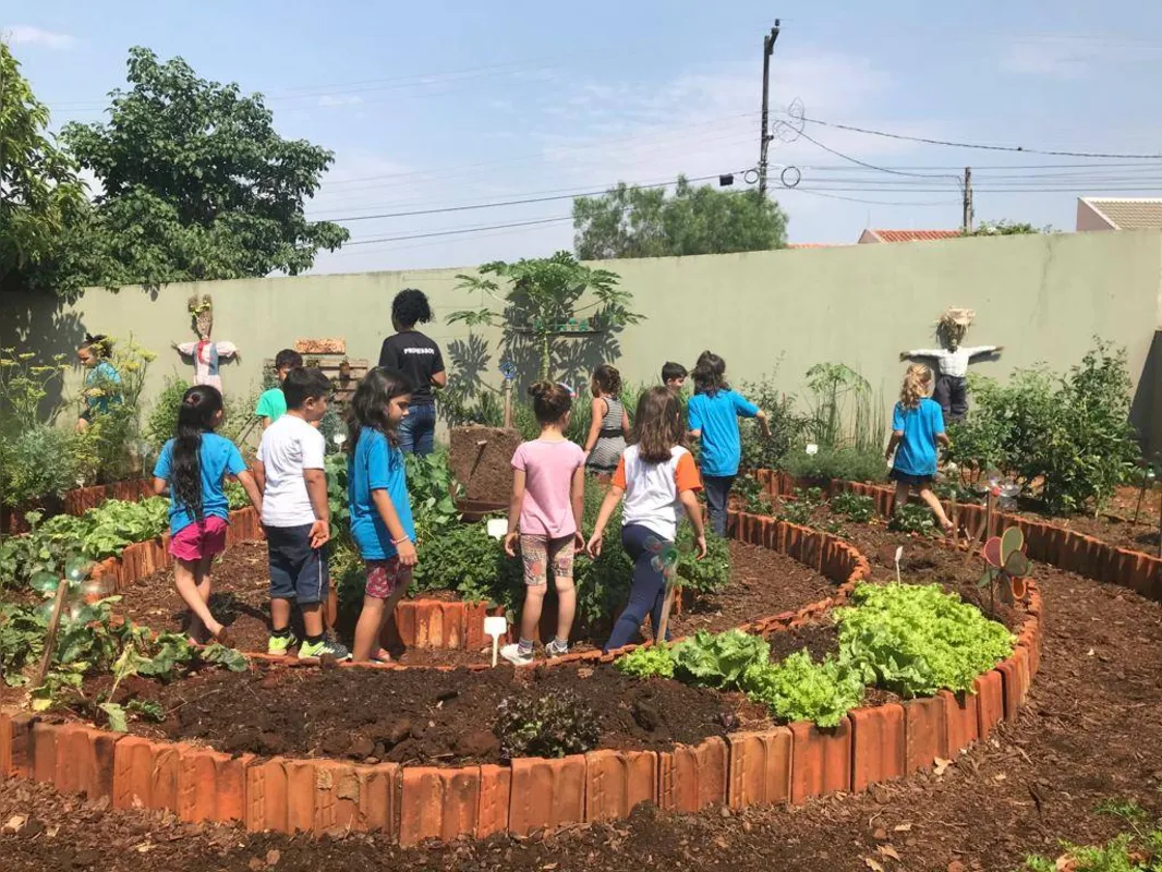 A produção da horta vai para a cantina e também para a casa dos alunos, como uma forma de estimular o consumo de alimentos saudáveis