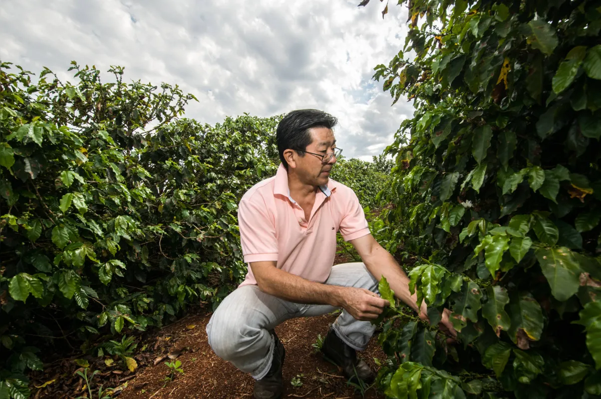 "Meu pai era um sonhador, fazia muito bem o café tradicional da sua maneira, mas não enxergava um mercado tão especializado". diz Evilásio Mori