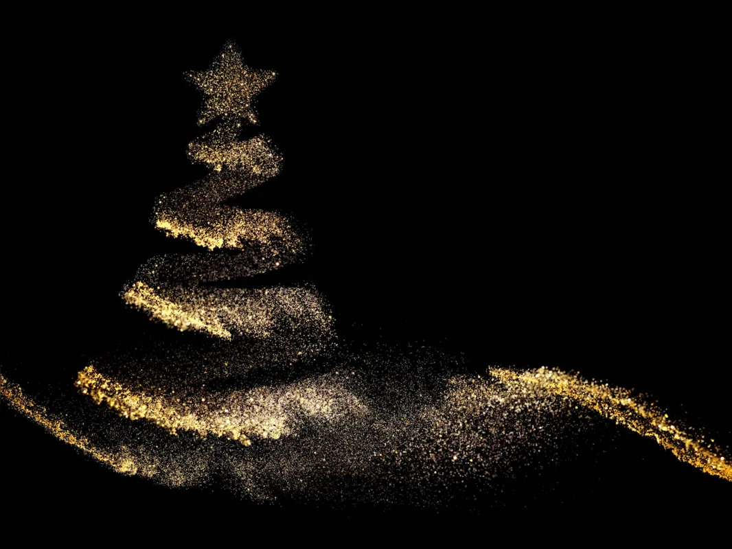 Imagem ilustrativa da imagem Desmontando a Árvore de Natal