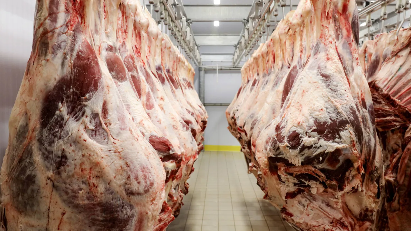 Os EUA suspenderam a compra de carne bovina in natura do Brasil em meados de 2017, na esteira da operação Carne Fraca, que revelou um esquema de adulteração de atestados fitossanitários da carne vendida nos mercados interno e externo