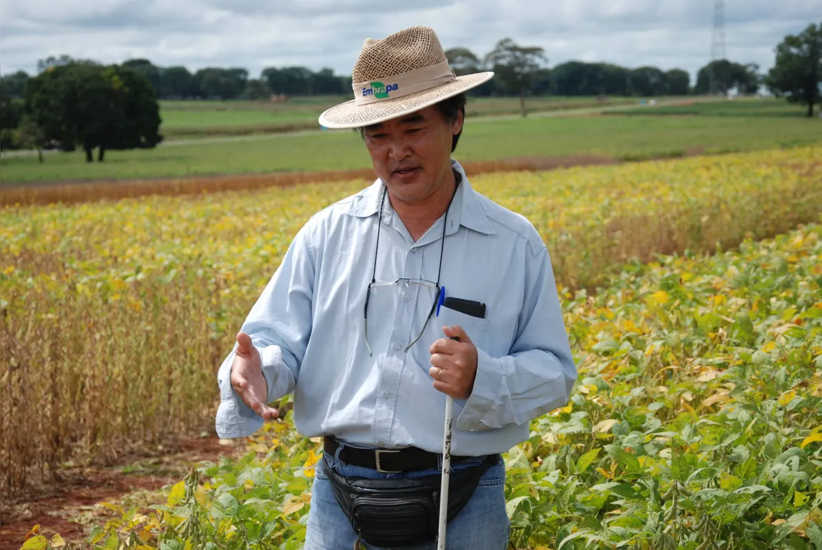 Segundo o pesquisador Roberto Zito, no Paraná a soja ainda não foi testada, mas existe bom potencial de adaptação na região Norte e outros locais de cultivares mais tardias 