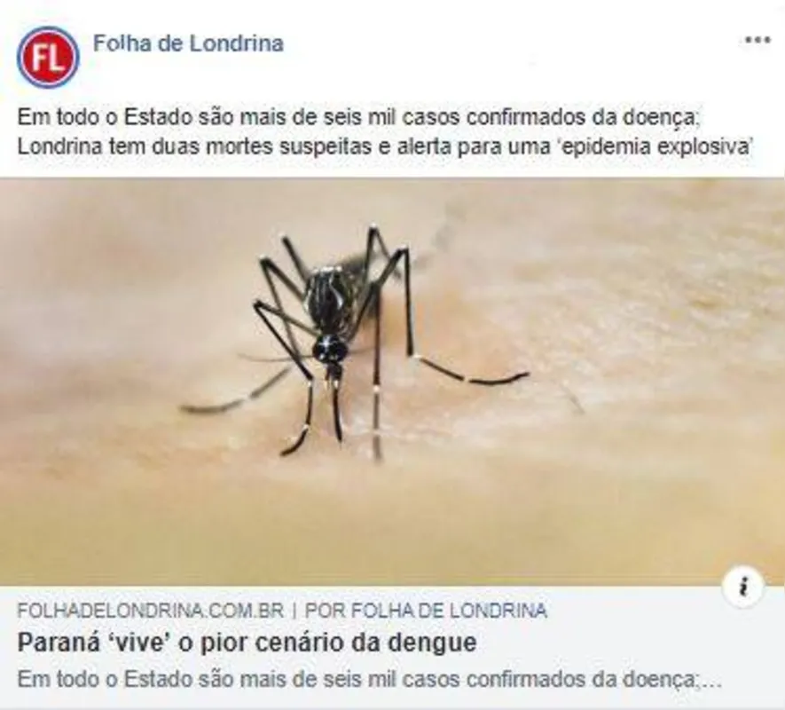 Imagem ilustrativa da imagem FOLHA NAS REDES - Dengue