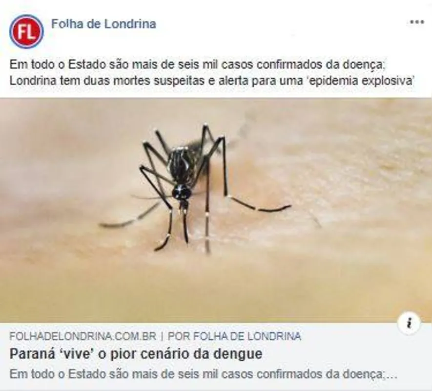 Imagem ilustrativa da imagem FOLHA NAS REDES - Dengue.