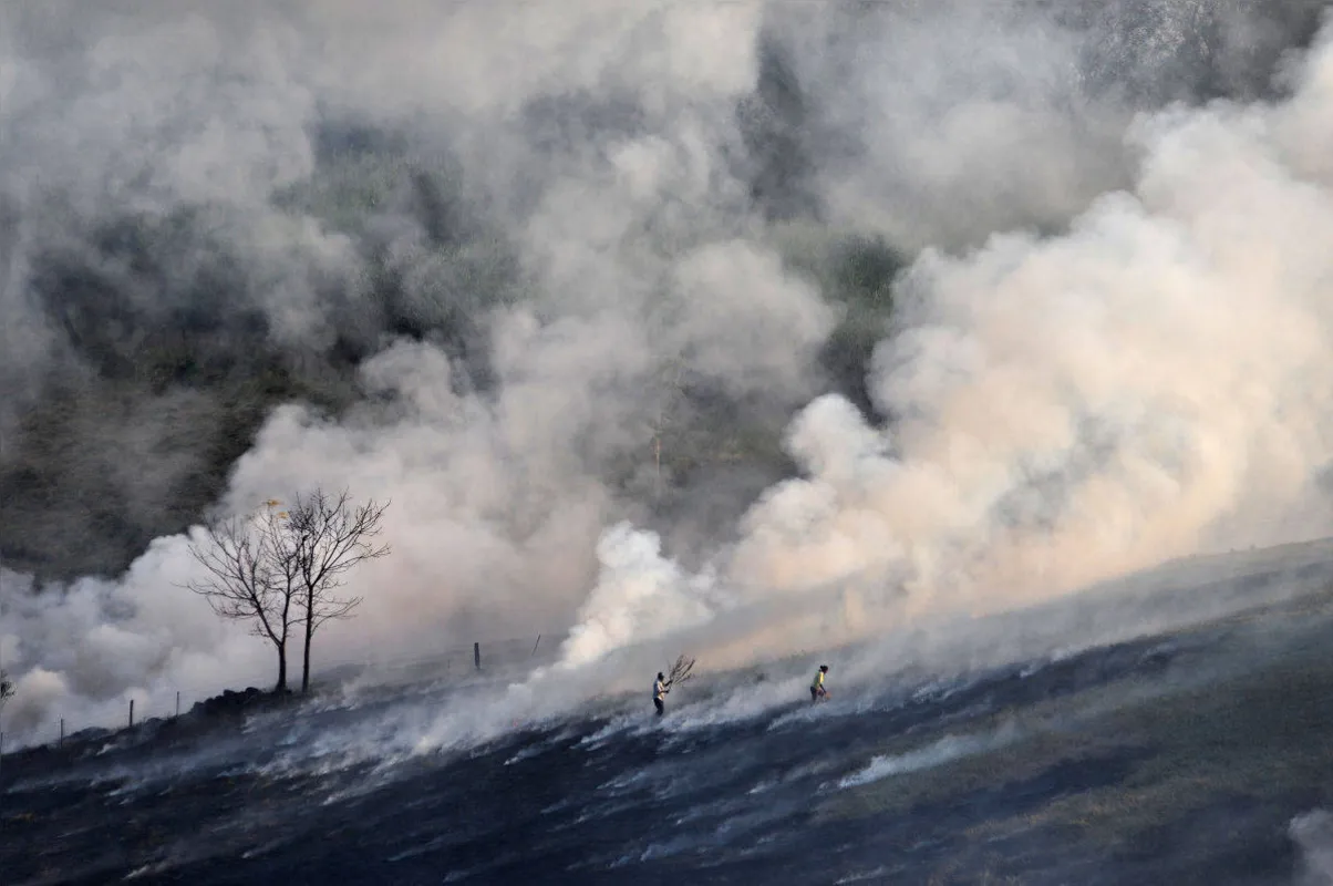 Imagem ilustrativa da imagem Fotografia 2019