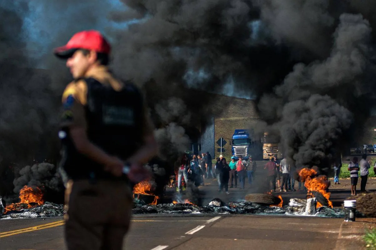 Imagem ilustrativa da imagem Fotografia 2019