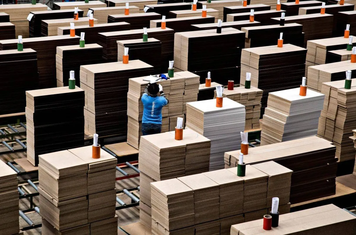Imagem ilustrativa da imagem Fotografia 2019
