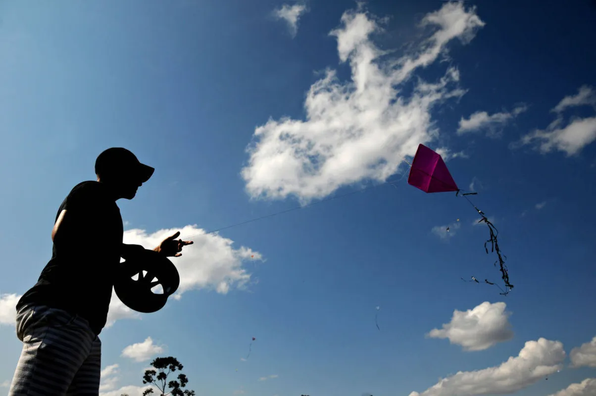 Imagem ilustrativa da imagem Fotografia 2019