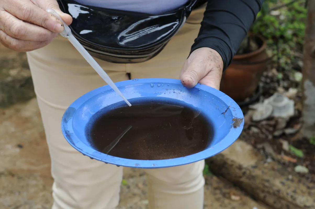 Imagem ilustrativa da imagem Londrina pode ter epidemia 'explosiva' de dengue